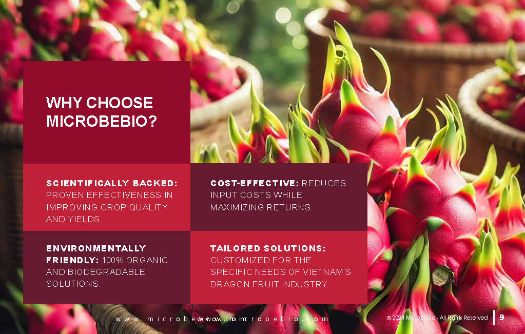 Transforming Vietnam Dragon Fruit Industry with 100 Organic Solutions_Page_09