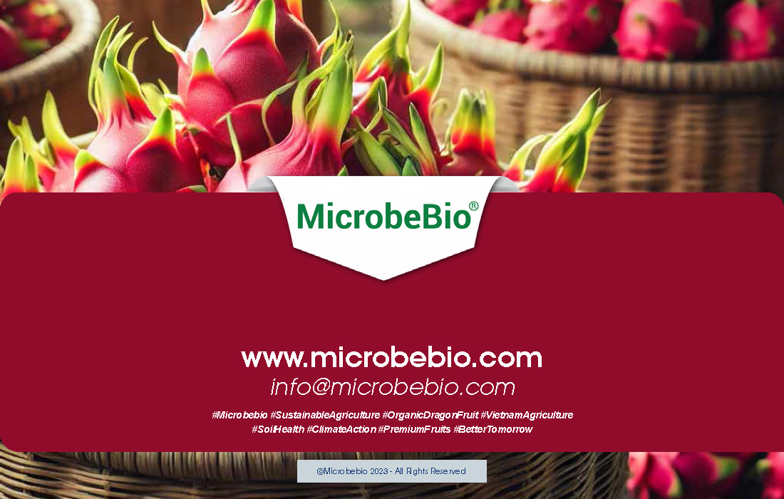 Transforming Vietnam Dragon Fruit Industry with 100 Organic Solutions_Page_11