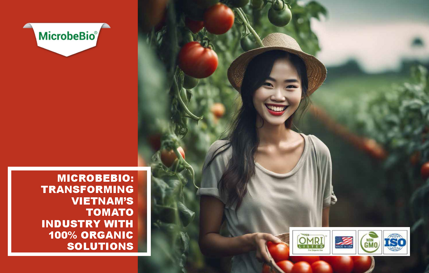 Transforming Vietnam Tomato Industry with 100 Organic Solutions _Page_01