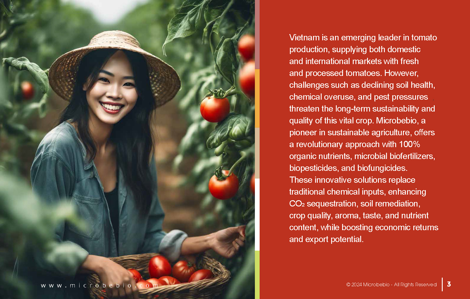 Transforming Vietnam Tomato Industry with 100 Organic Solutions _Page_03