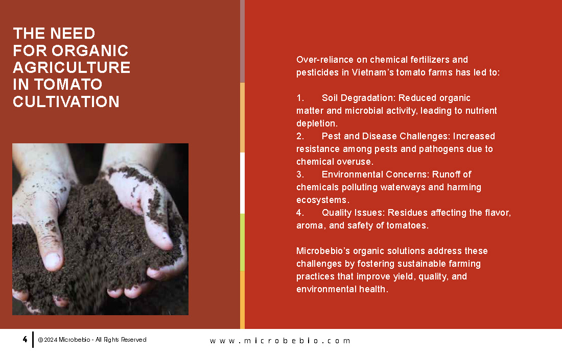 Transforming Vietnam Tomato Industry with 100 Organic Solutions _Page_04