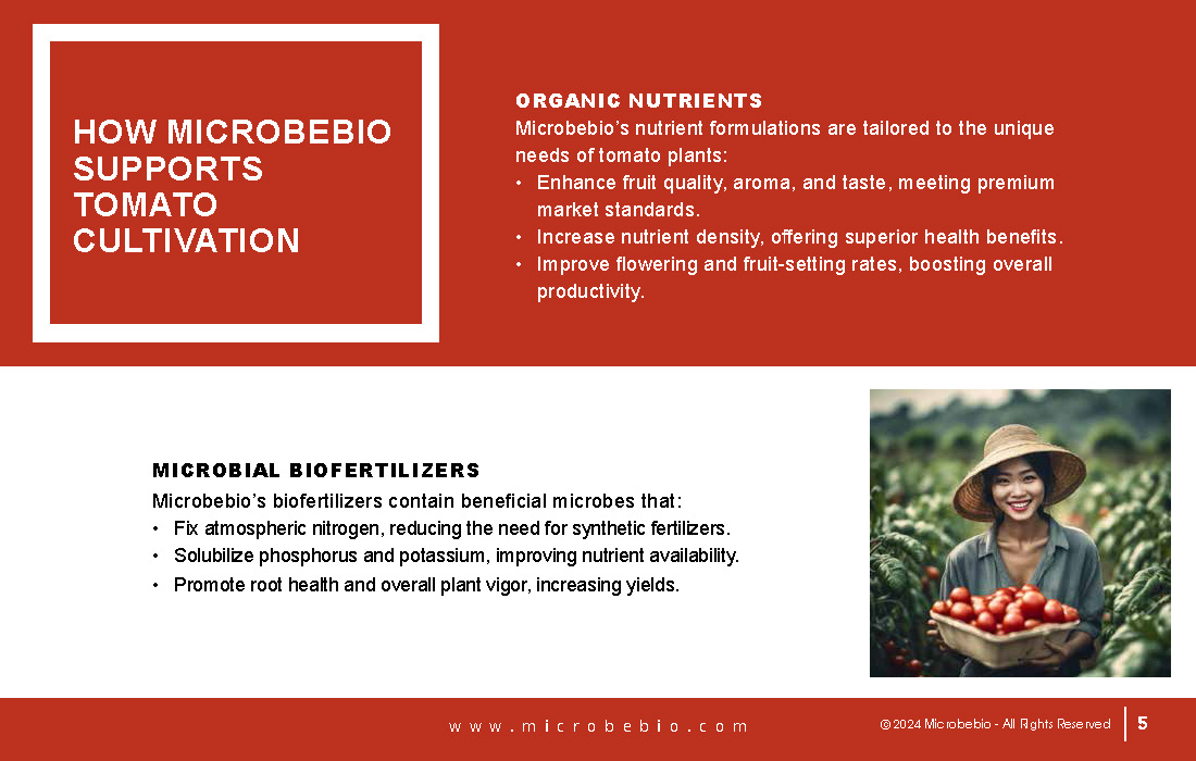 Transforming Vietnam Tomato Industry with 100 Organic Solutions _Page_05