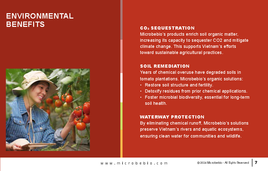 Transforming Vietnam Tomato Industry with 100 Organic Solutions _Page_07