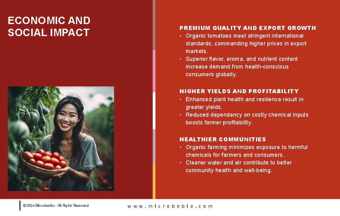 Transforming Vietnam Tomato Industry with 100 Organic Solutions _Page_08