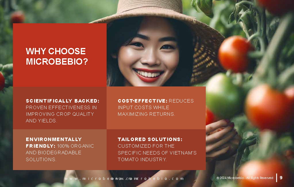 Transforming Vietnam Tomato Industry with 100 Organic Solutions _Page_09