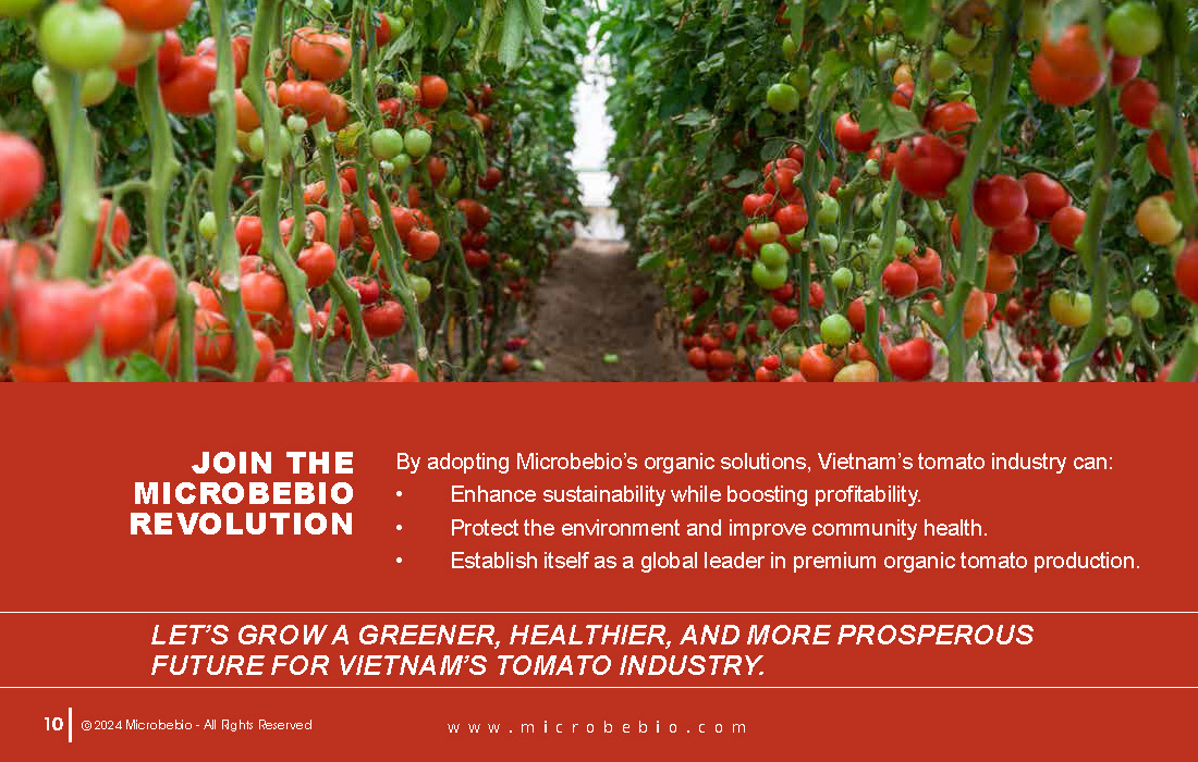 Transforming Vietnam Tomato Industry with 100 Organic Solutions _Page_10
