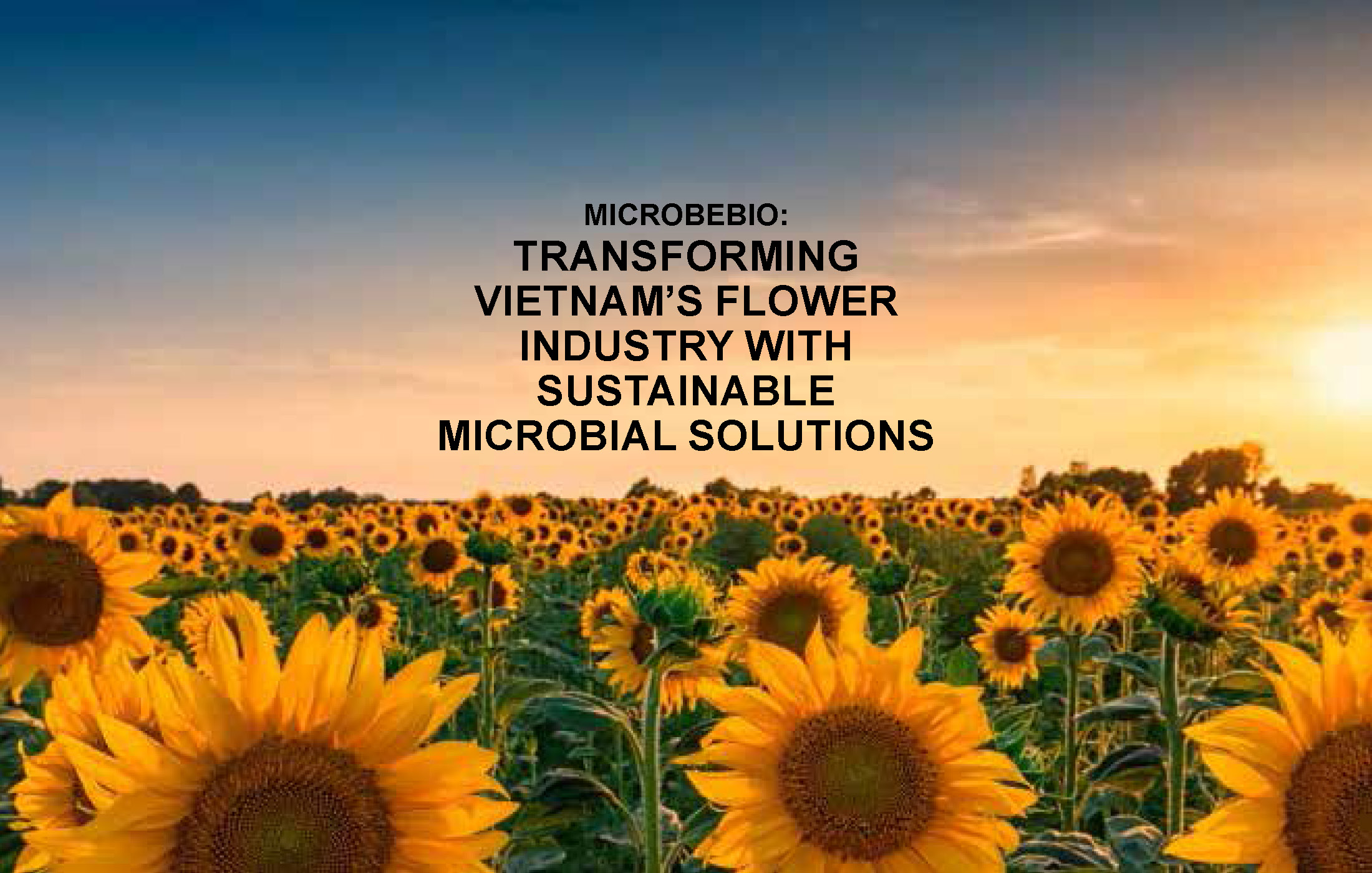 Transforming Vietnam’s Flower Industry with Sustainable Microbial Solutions_Page_02