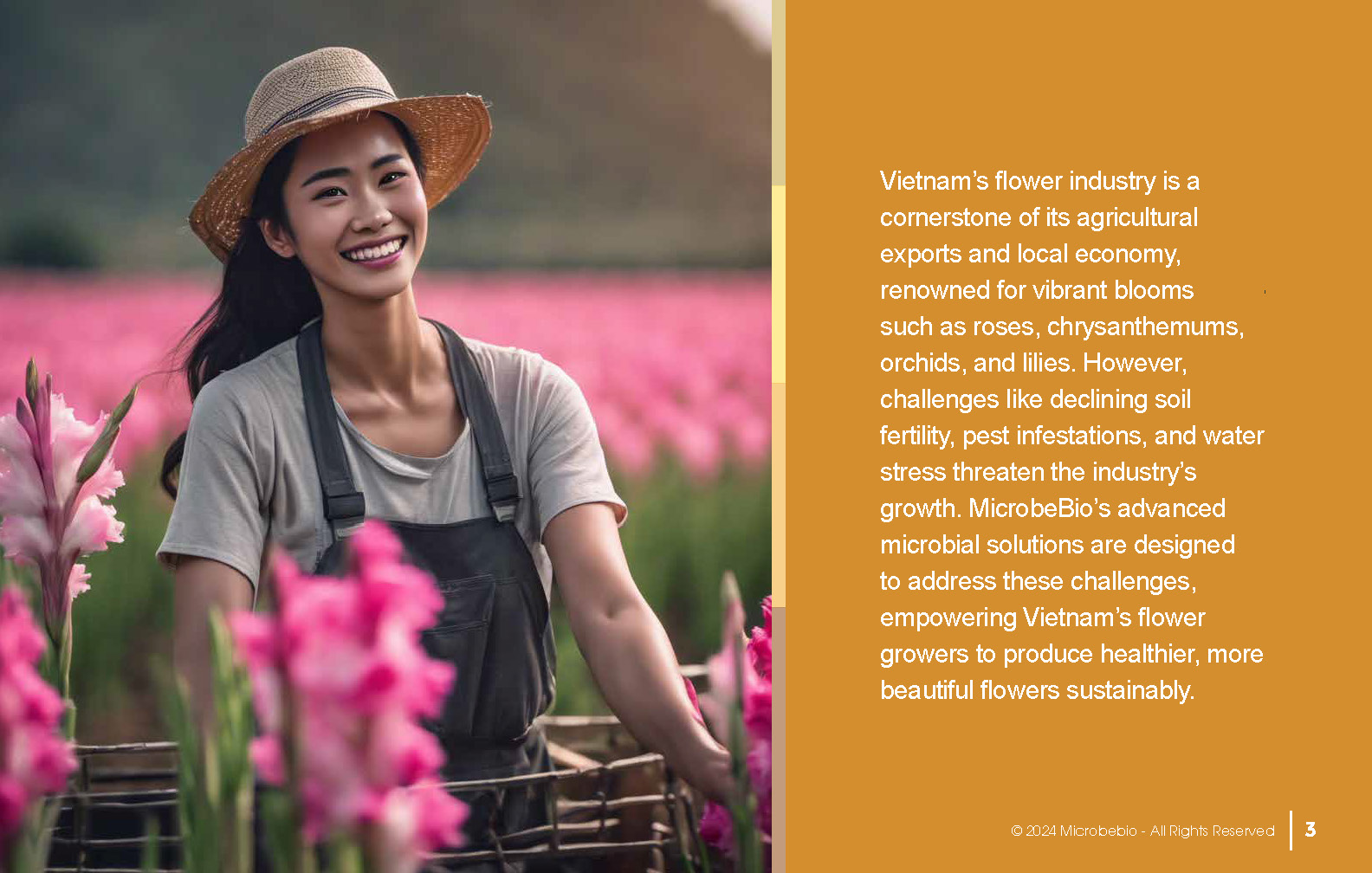 Transforming Vietnam’s Flower Industry with Sustainable Microbial Solutions_Page_03