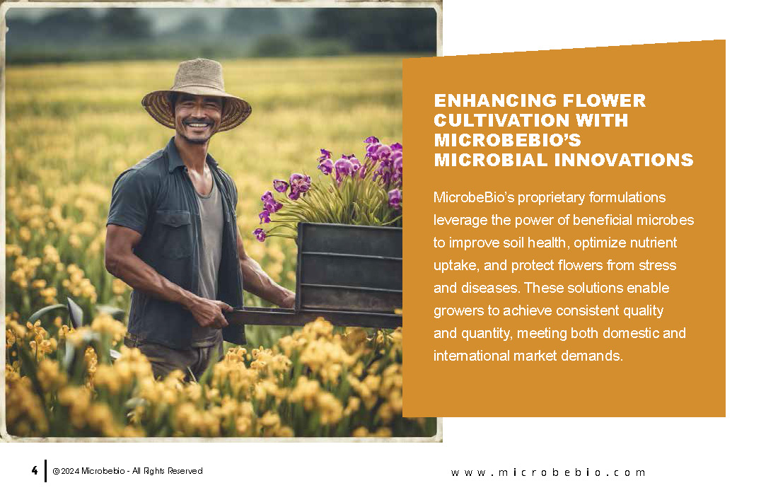 Transforming Vietnam’s Flower Industry with Sustainable Microbial Solutions_Page_04