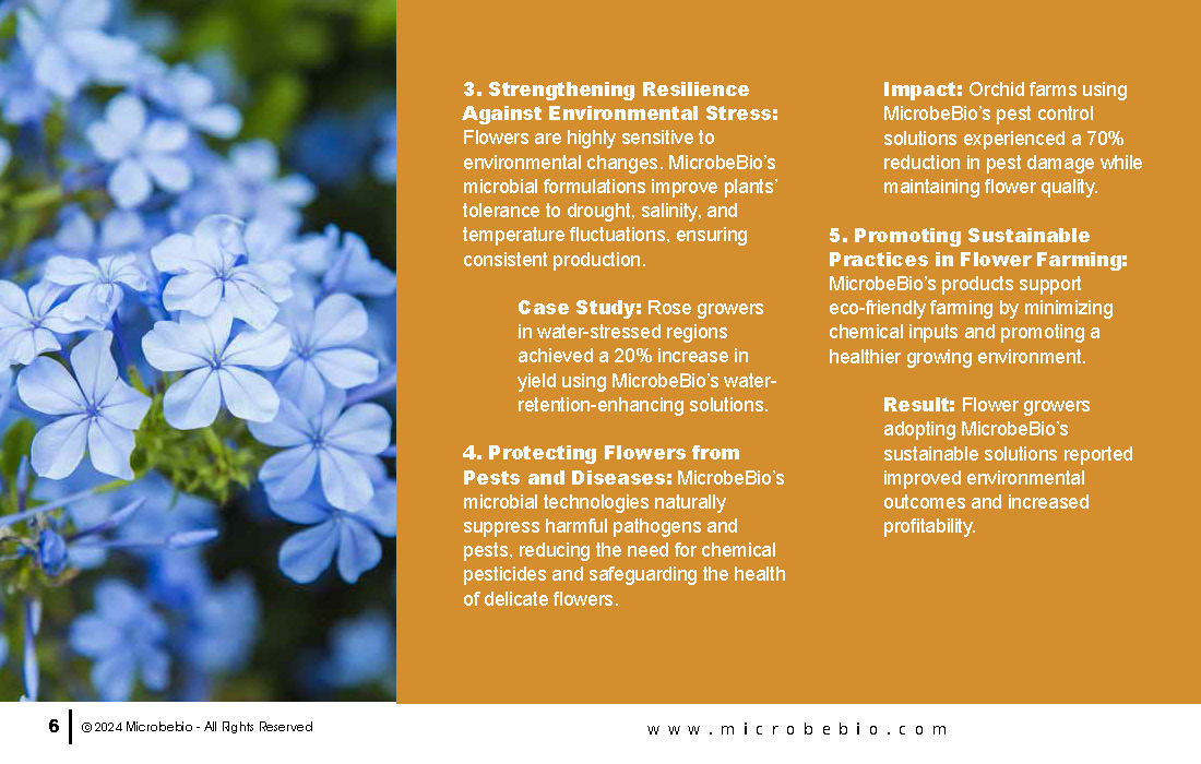 Transforming Vietnam’s Flower Industry with Sustainable Microbial Solutions_Page_06