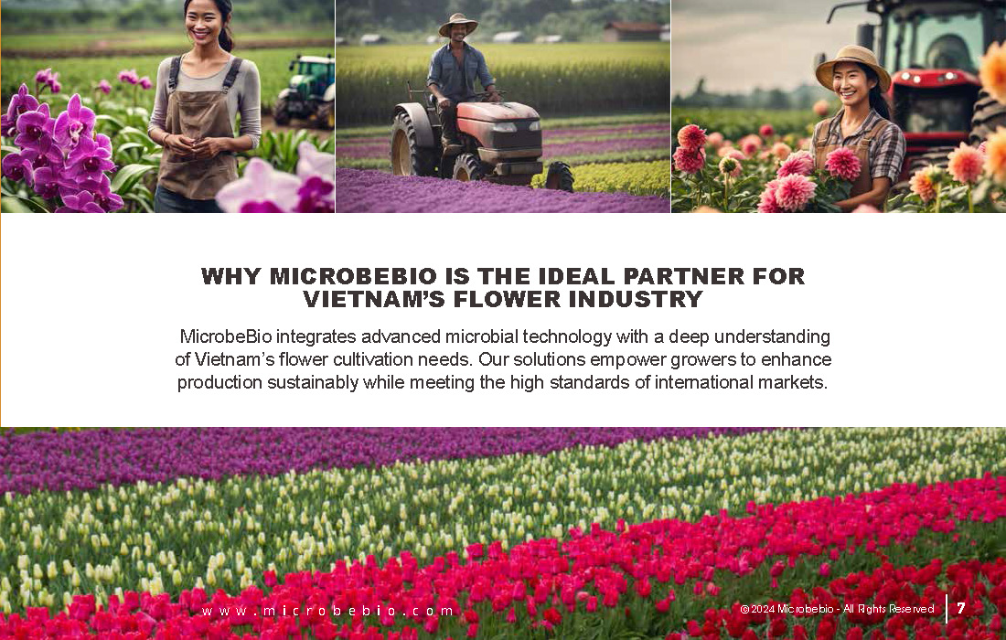 Transforming Vietnam’s Flower Industry with Sustainable Microbial Solutions_Page_07