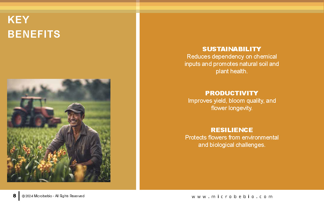 Transforming Vietnam’s Flower Industry with Sustainable Microbial Solutions_Page_08