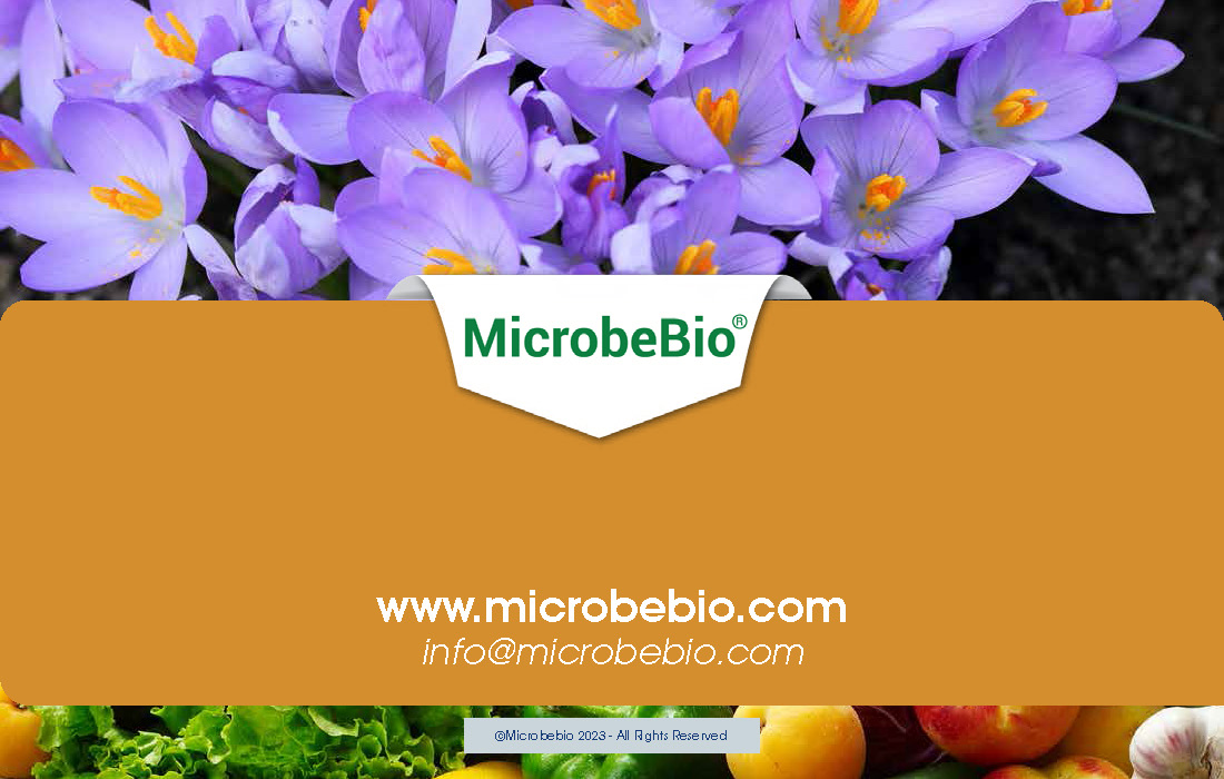Transforming Vietnam’s Flower Industry with Sustainable Microbial Solutions_Page_12