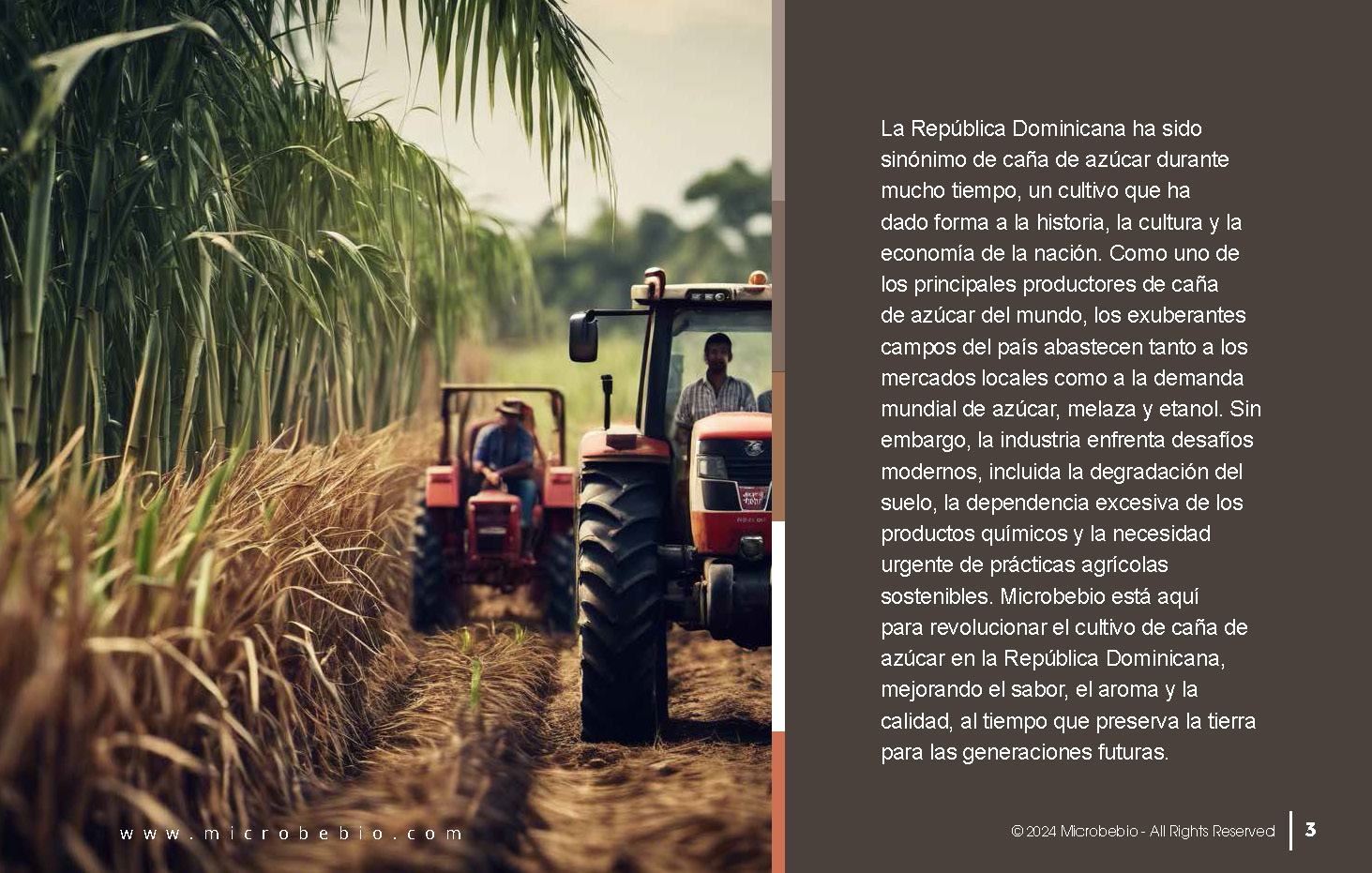 Transforming the Future of Dominican Sugarcane_Page_03