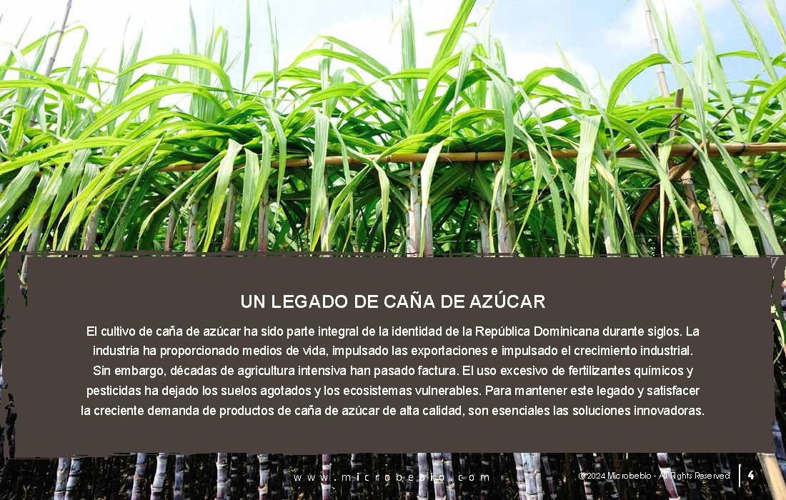 Transforming the Future of Dominican Sugarcane_Page_04