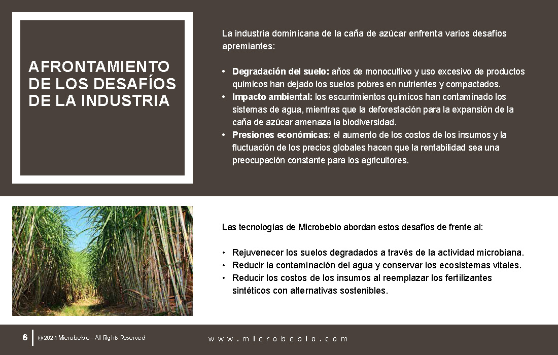 Transforming the Future of Dominican Sugarcane_Page_06