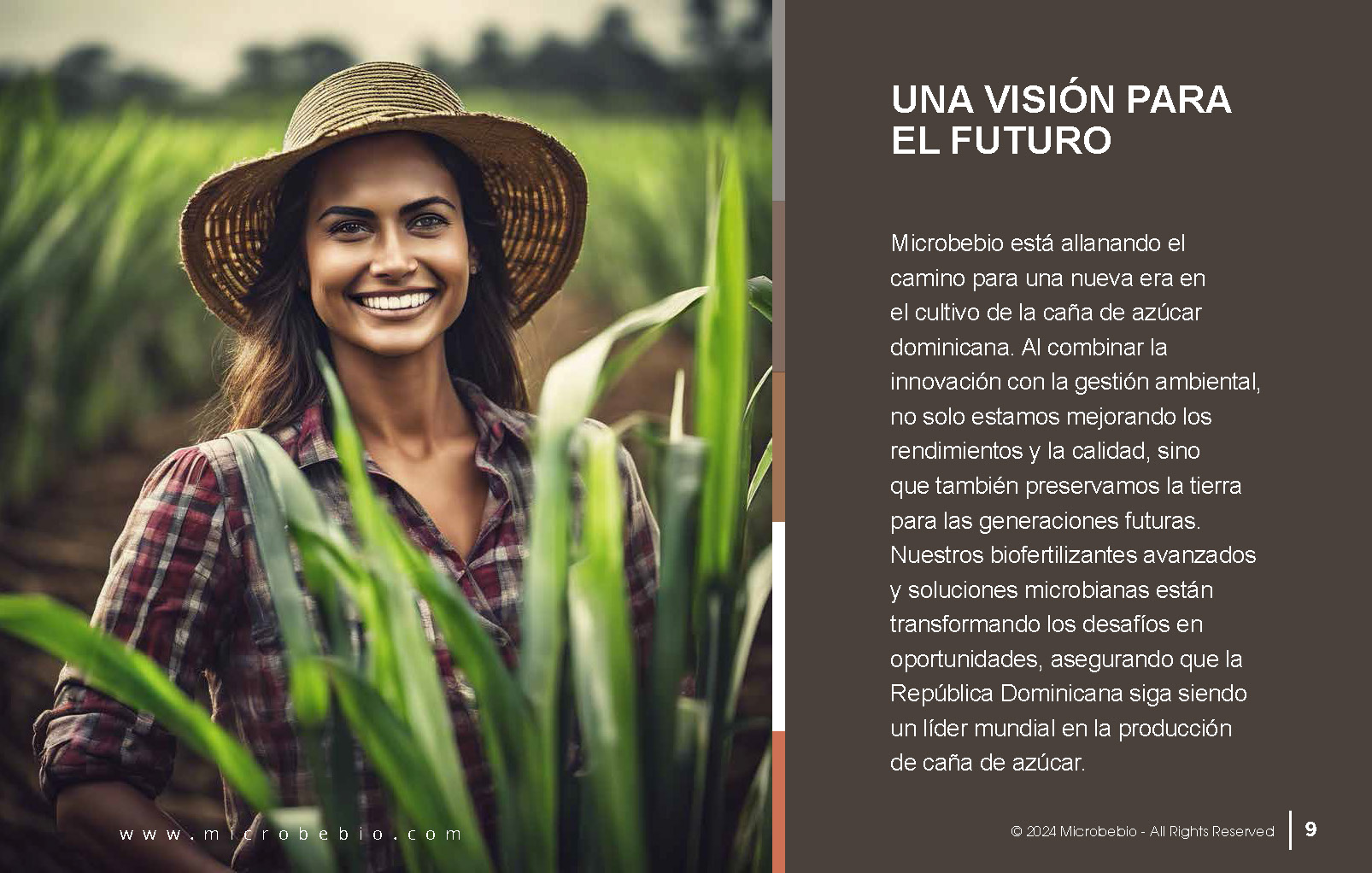 Transforming the Future of Dominican Sugarcane_Page_09