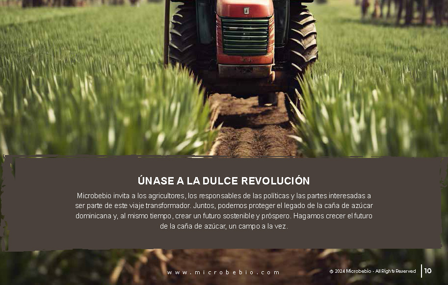 Transforming the Future of Dominican Sugarcane_Page_10