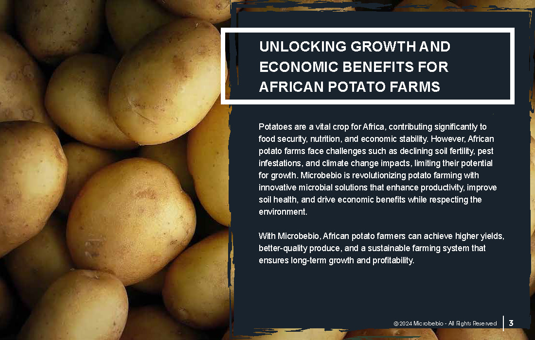 Unlocking Growth and Economic Benefits for African Potato Farms_Page_03