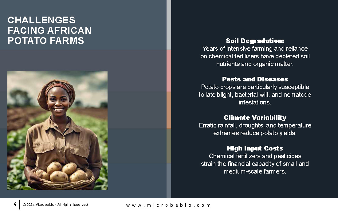 Unlocking Growth and Economic Benefits for African Potato Farms_Page_04