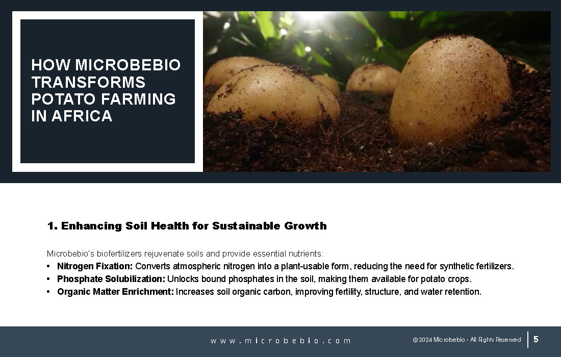 Unlocking Growth and Economic Benefits for African Potato Farms_Page_05