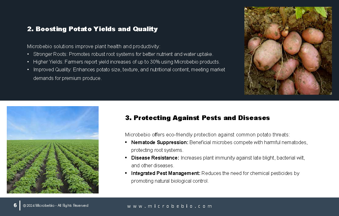 Unlocking Growth and Economic Benefits for African Potato Farms_Page_06