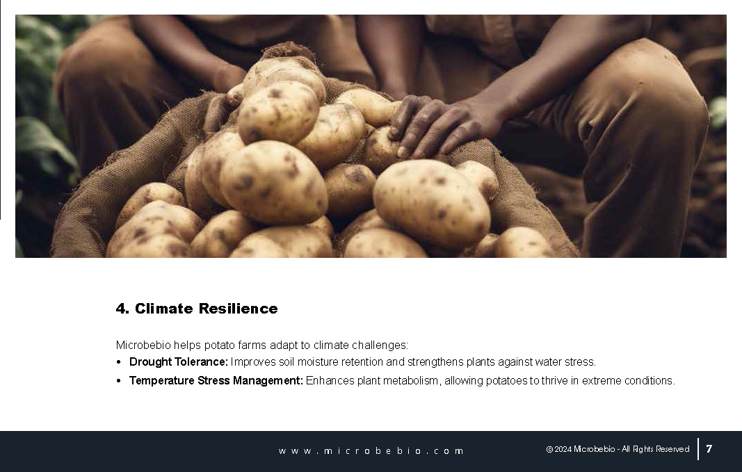 Unlocking Growth and Economic Benefits for African Potato Farms_Page_07