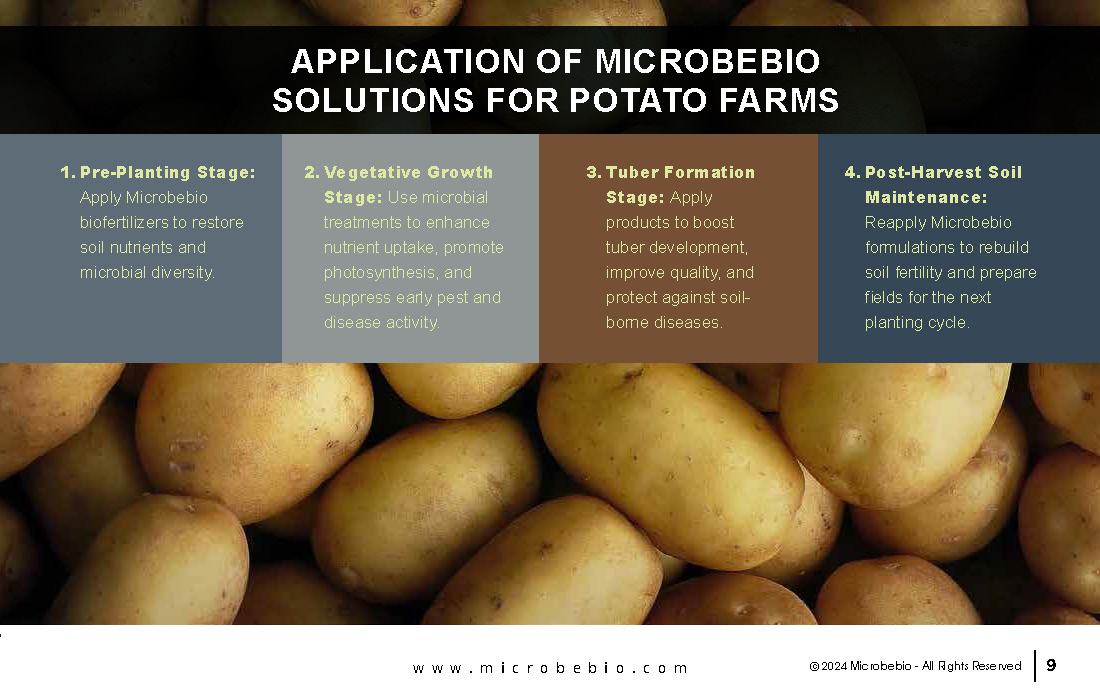 Unlocking Growth and Economic Benefits for African Potato Farms_Page_09