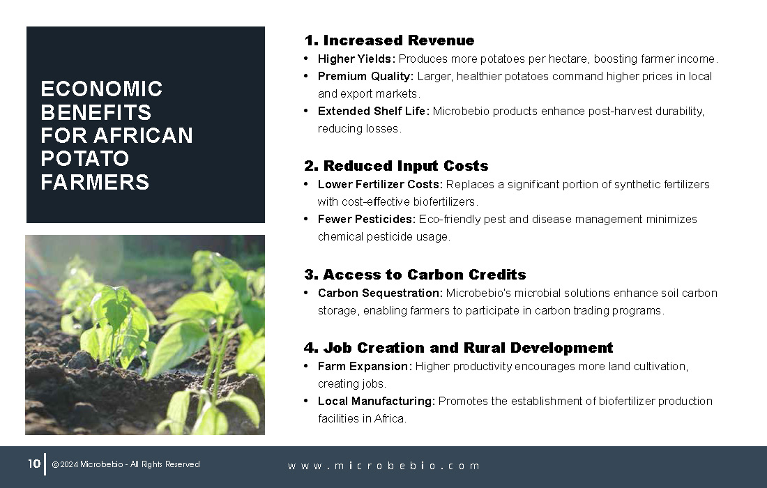 Unlocking Growth and Economic Benefits for African Potato Farms_Page_10