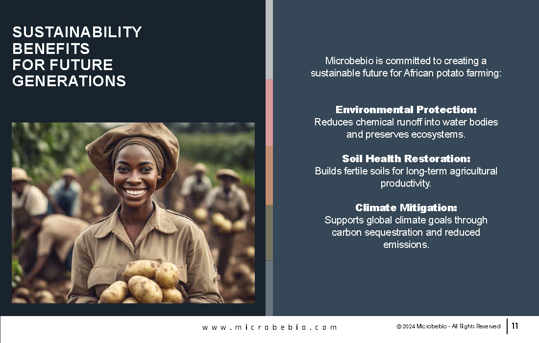 Unlocking Growth and Economic Benefits for African Potato Farms_Page_11
