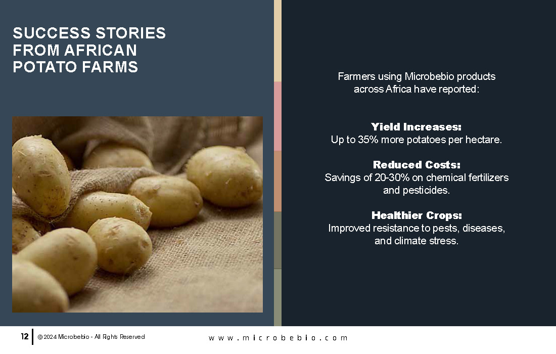 Unlocking Growth and Economic Benefits for African Potato Farms_Page_12