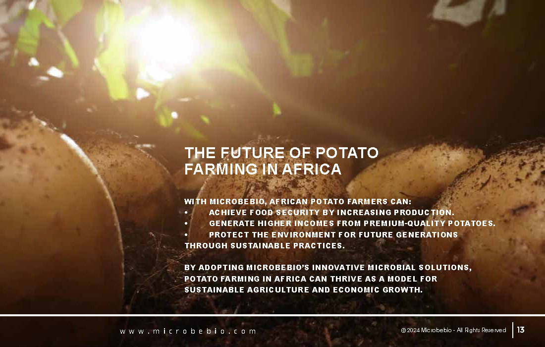 Unlocking Growth and Economic Benefits for African Potato Farms_Page_13