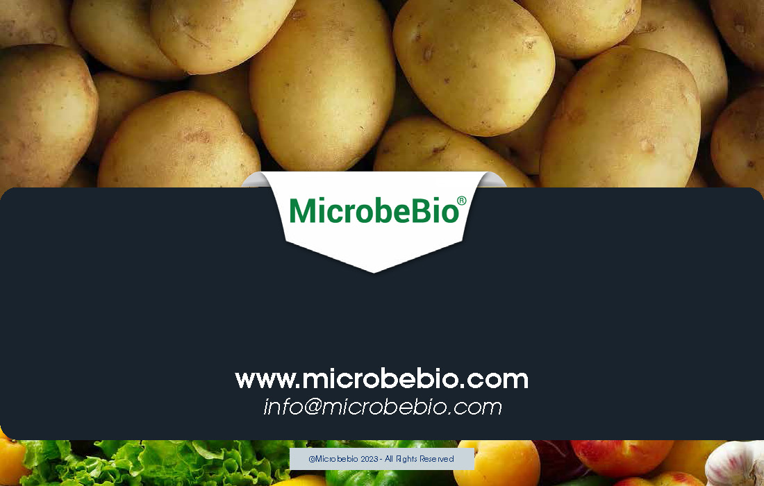 Unlocking Growth and Economic Benefits for African Potato Farms_Page_15