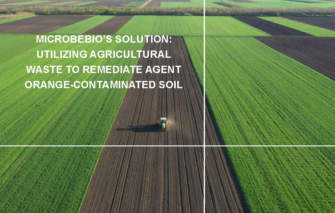 Utilizing Agricultural Waste to Remediate Agent Orange-Contaminated Soil_Page_02