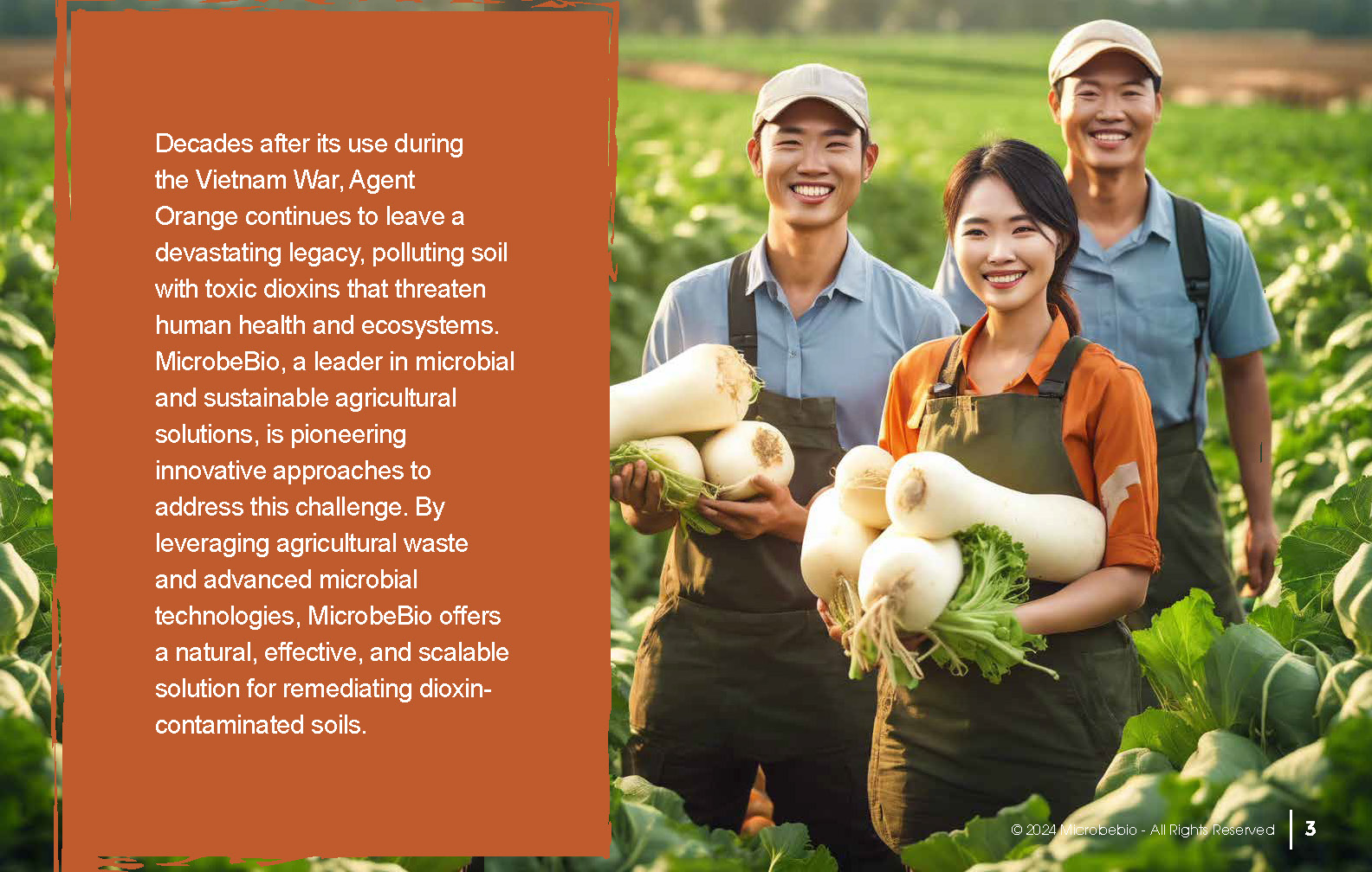 Utilizing Agricultural Waste to Remediate Agent Orange-Contaminated Soil_Page_03