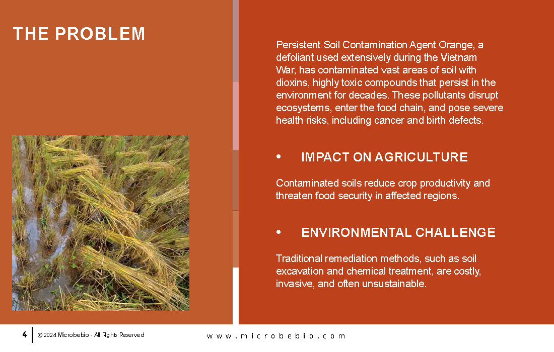 Utilizing Agricultural Waste to Remediate Agent Orange-Contaminated Soil_Page_04