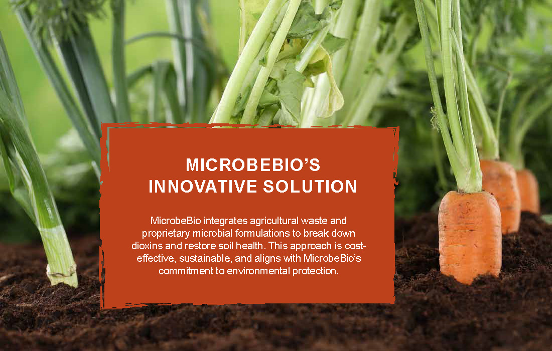 Utilizing Agricultural Waste to Remediate Agent Orange-Contaminated Soil_Page_05