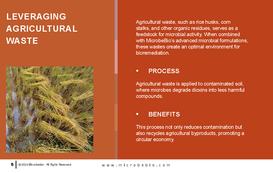 Utilizing Agricultural Waste to Remediate Agent Orange-Contaminated Soil_Page_06