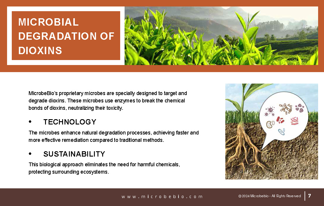 Utilizing Agricultural Waste to Remediate Agent Orange-Contaminated Soil_Page_07