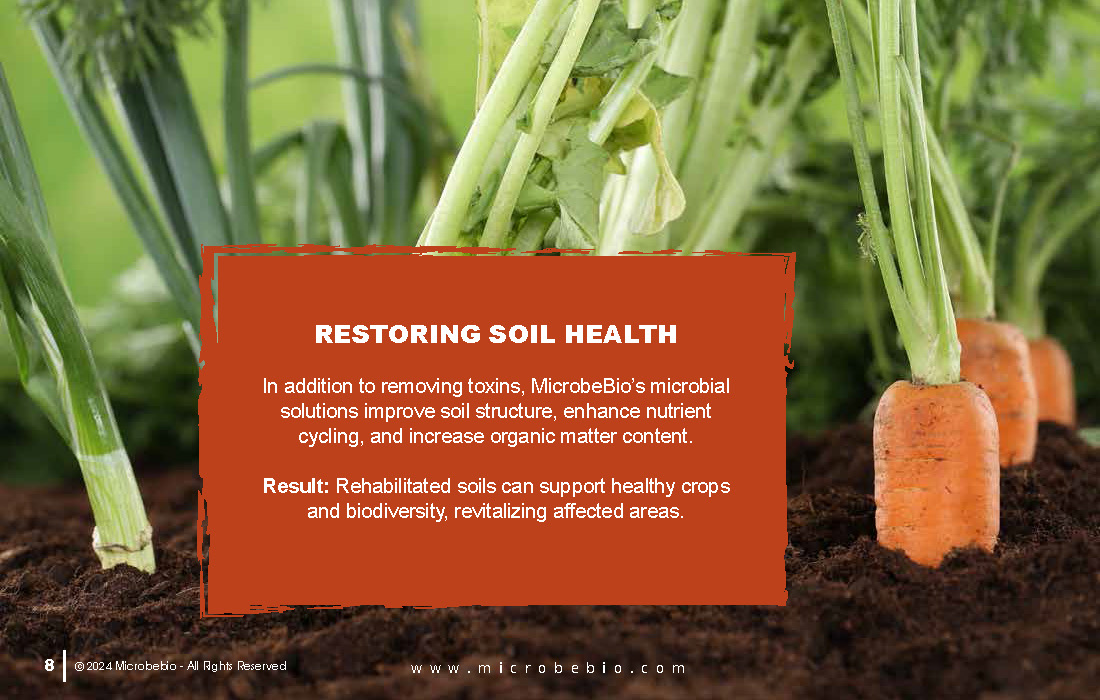 Utilizing Agricultural Waste to Remediate Agent Orange-Contaminated Soil_Page_08
