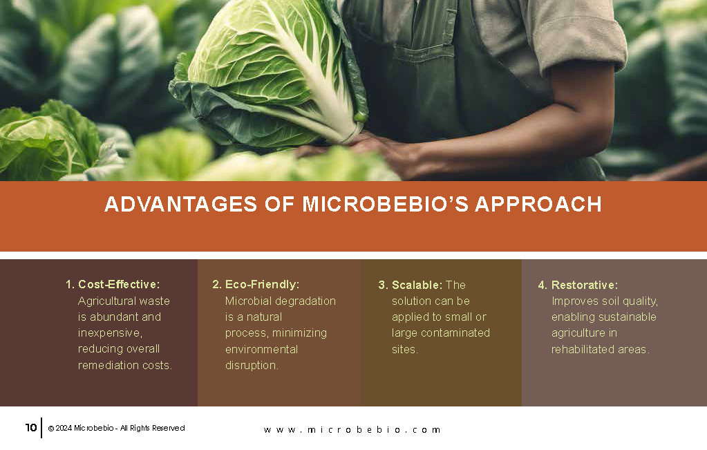 Utilizing Agricultural Waste to Remediate Agent Orange-Contaminated Soil_Page_10