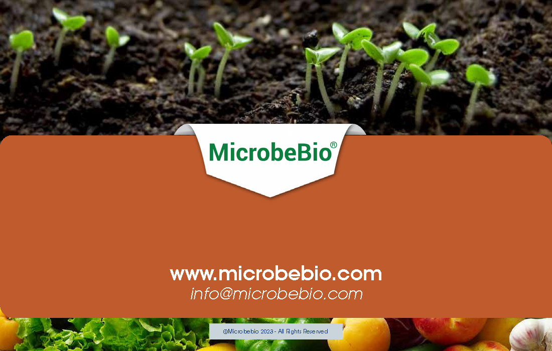 Utilizing Agricultural Waste to Remediate Agent Orange-Contaminated Soil_Page_12