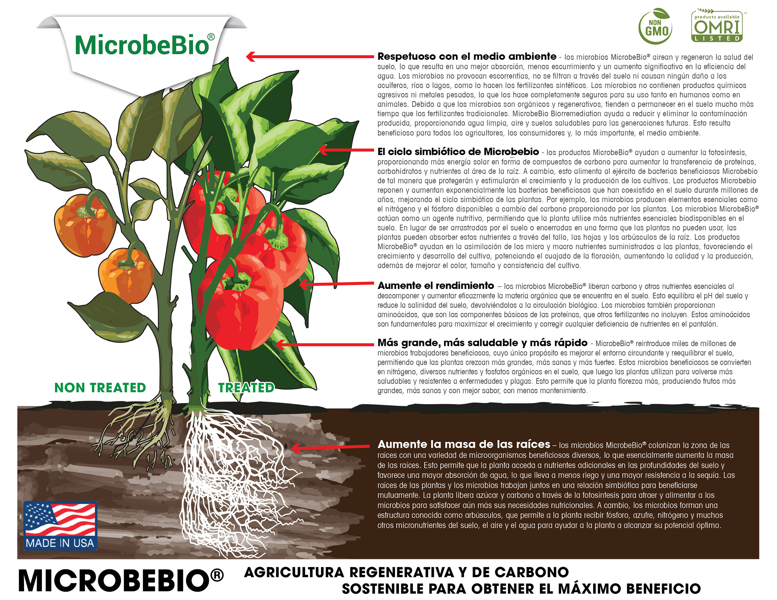 MICROBEBIO - BROCHURE - ENGLISH - PEPPER