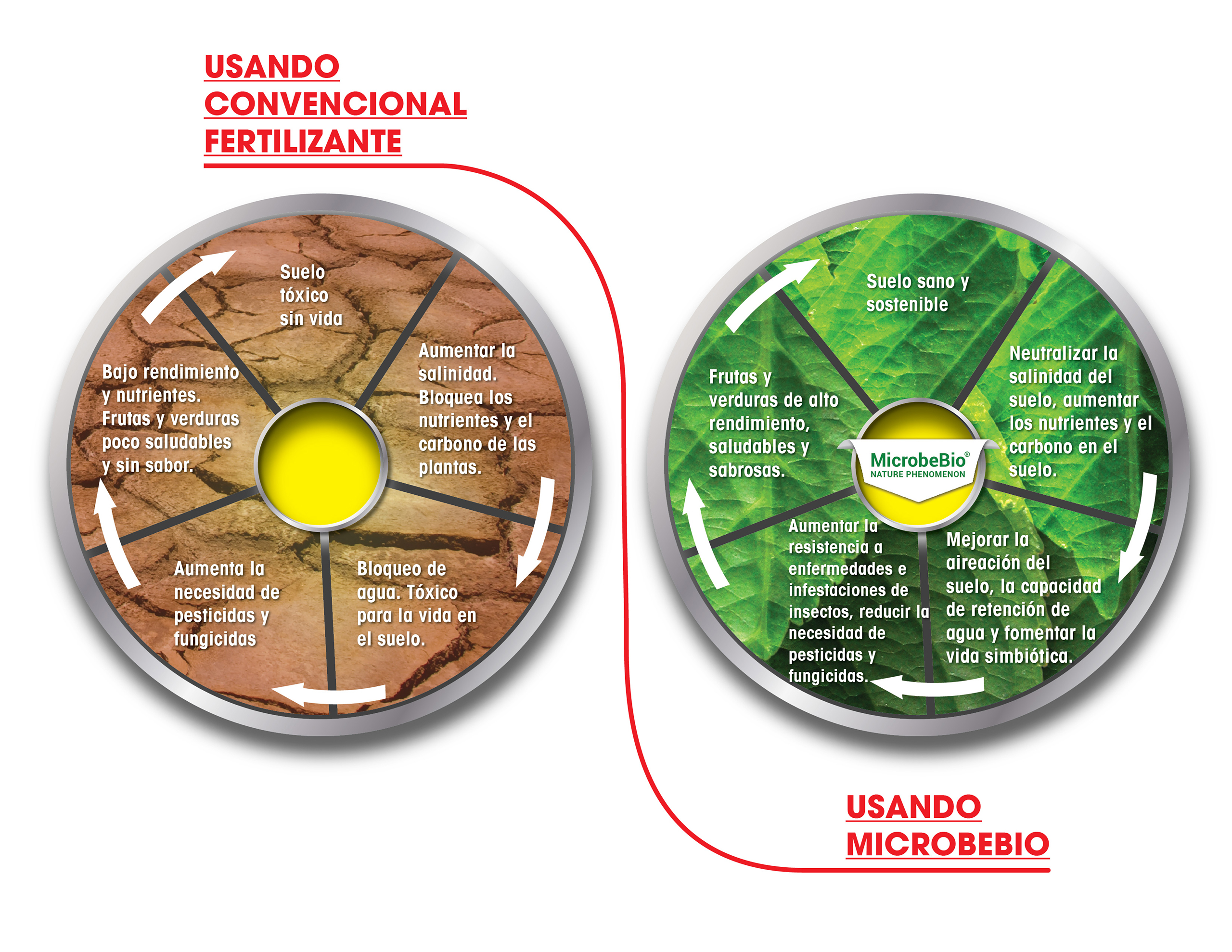MICROBEBIO-PROBLEM-SOLUTION-CYCLE-SPANISH