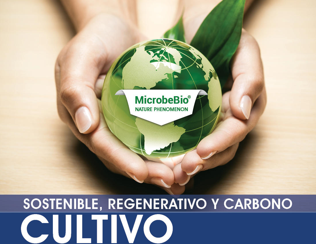 MICROBEBIO - THE WORLD