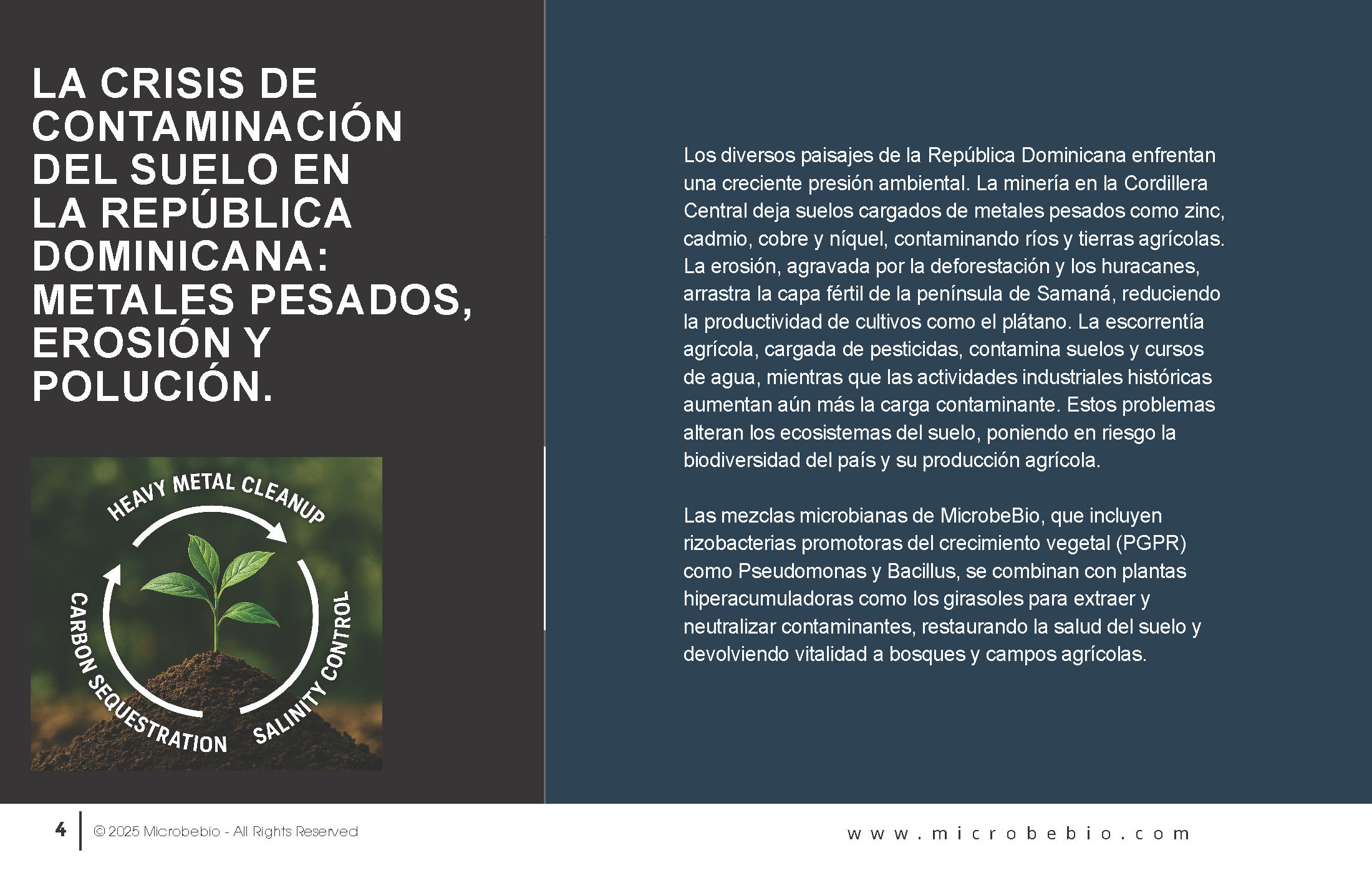 Reviving the Dominican Republic- Forests with MicrobeBio-Sustainable Soil Solutions for Heavy Metal Cleanup and Bioremediation_Page_04