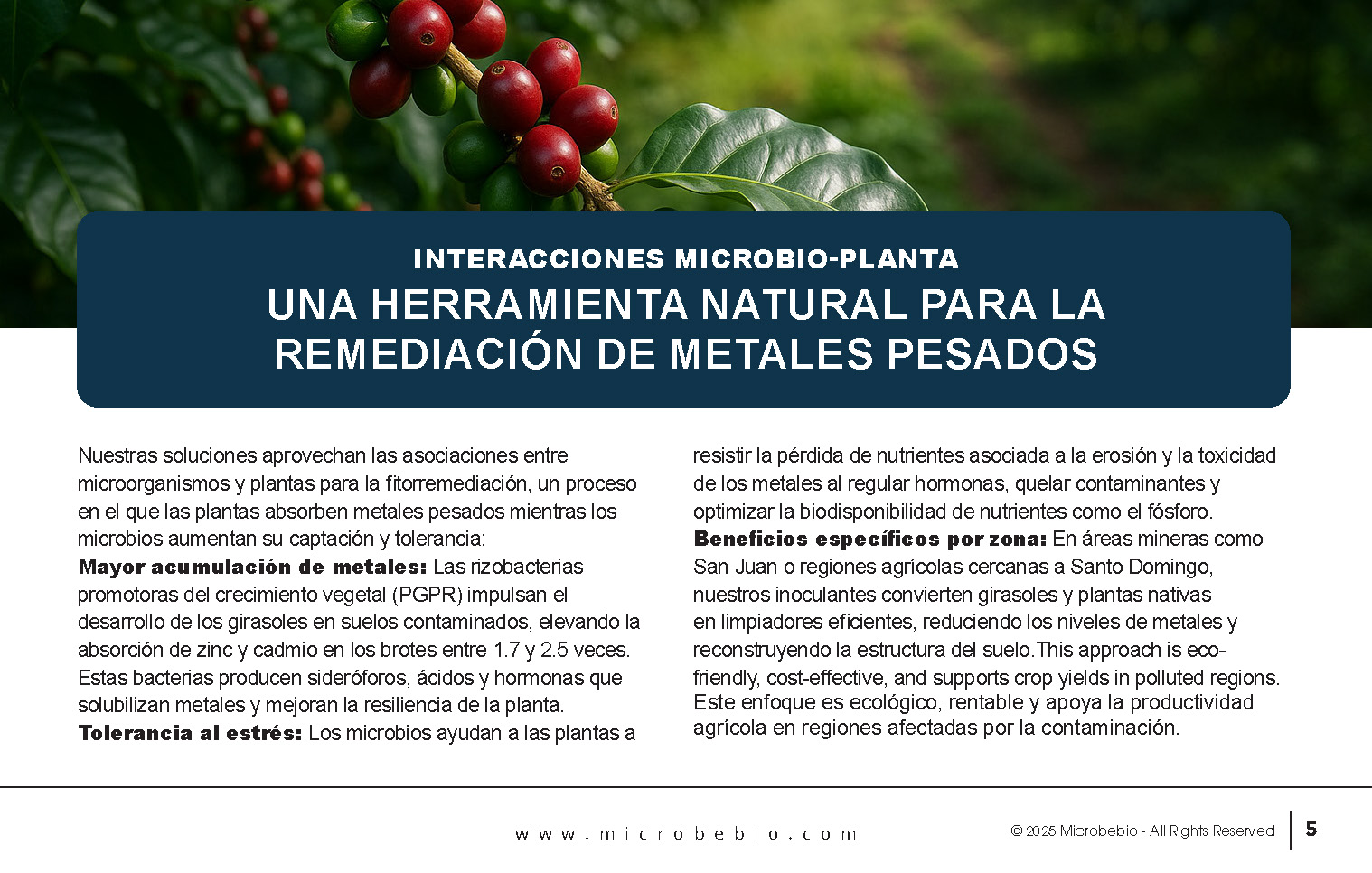 Reviving the Dominican Republic- Forests with MicrobeBio-Sustainable Soil Solutions for Heavy Metal Cleanup and Bioremediation_Page_05