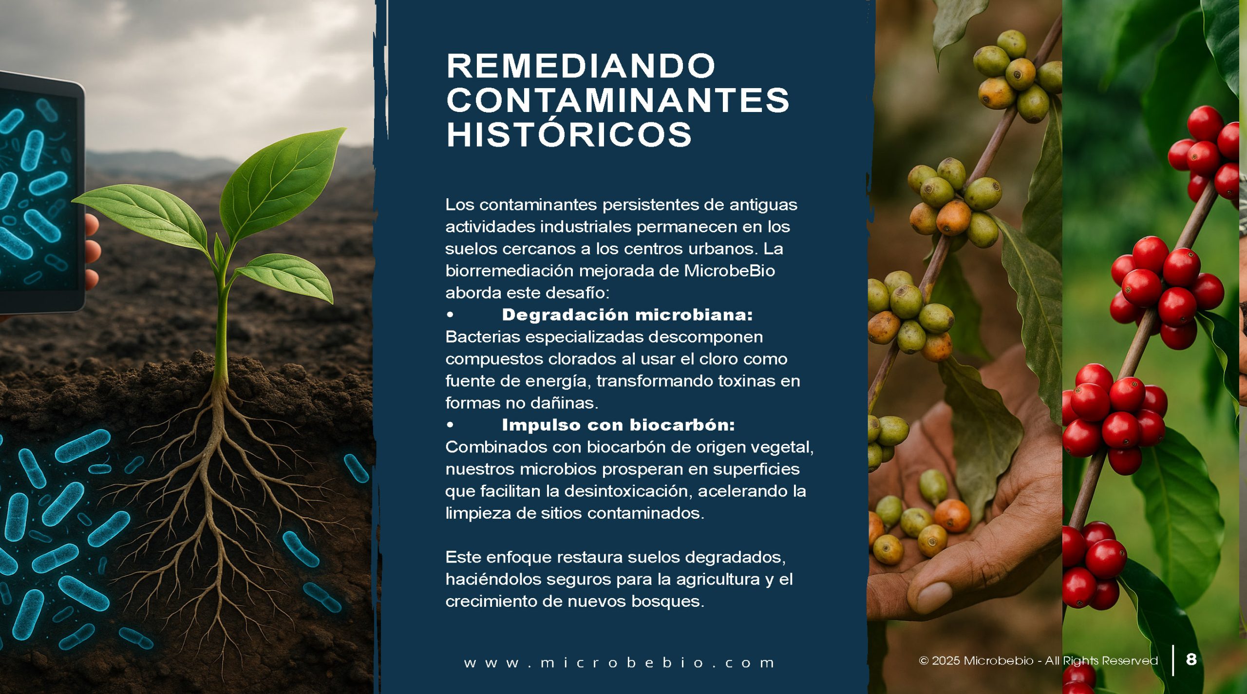 Reviving the Dominican Republic- Forests with MicrobeBio-Sustainable Soil Solutions for Heavy Metal Cleanup and Bioremediation_Page_08