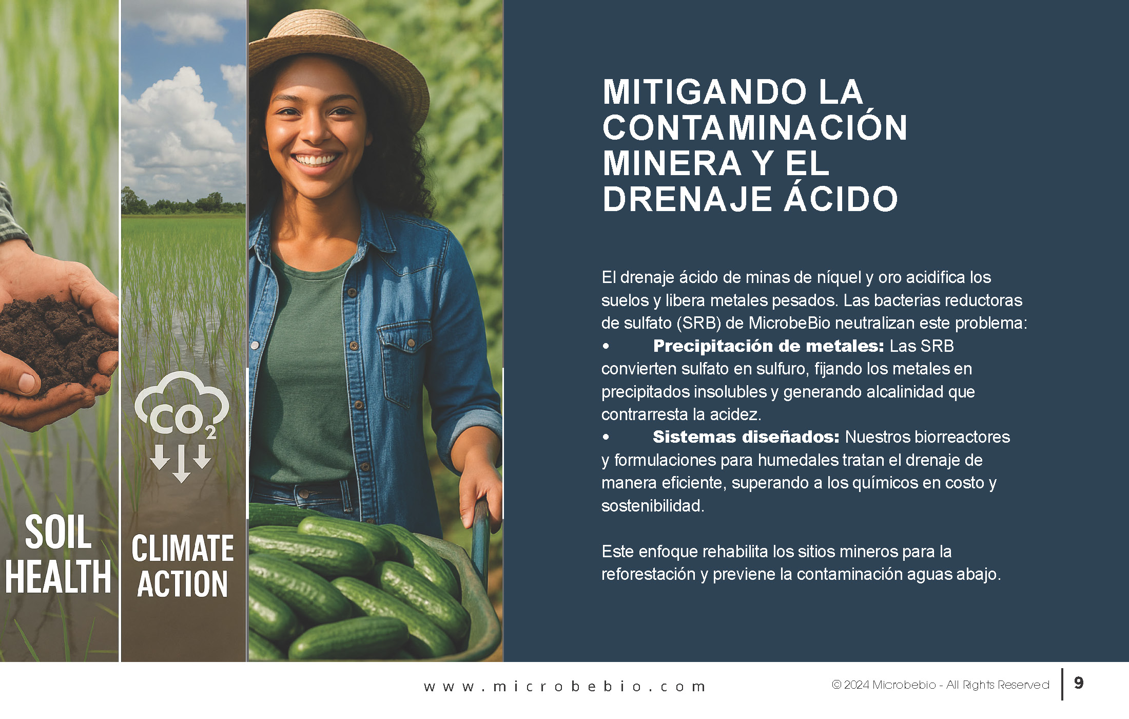Reviving the Dominican Republic- Forests with MicrobeBio-Sustainable Soil Solutions for Heavy Metal Cleanup and Bioremediation_Page_09