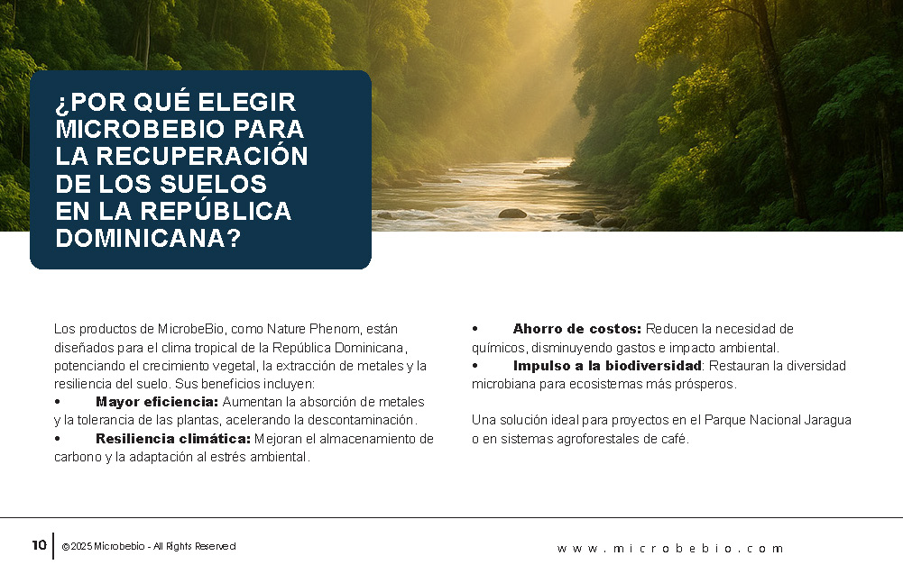 Reviving the Dominican Republic- Forests with MicrobeBio-Sustainable Soil Solutions for Heavy Metal Cleanup and Bioremediation_Page_10